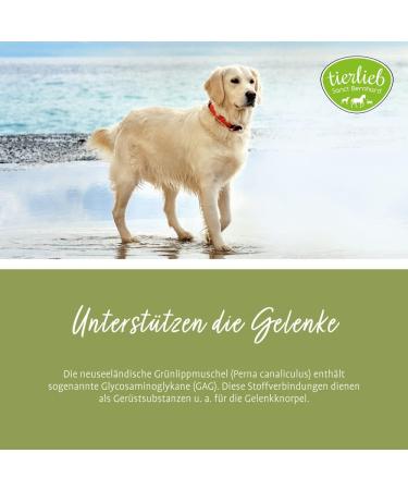 New Zealand Green Lipped Mussel Capsules for Dogs - Buy Online on GoSupps.com