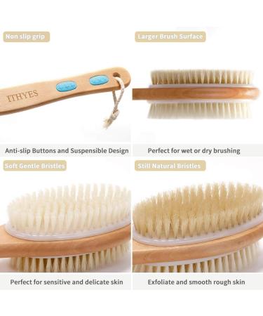 Ithyes Shower Brush - Soft & Stiff Bristles for Wet/Dry Use | Natural Wood Long Handle Body Brush | Double-Sided Luffa & Massage Your Skin - Buy Online on GoSupps.com