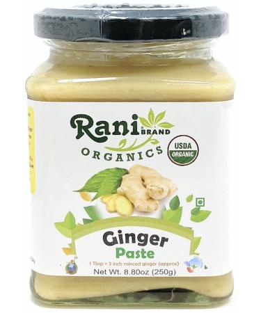Rani Organic Ginger Cooking Paste 8.80oz (250g)  Vegan | Glass Jar | Gluten Free | NON-GMO | No Colors | Indian Origin | USDA Certified Organic Ginger 8.80 Ounce (Pack of 1)
