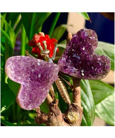 Amethyst 30G Natural Amethyst Crystal Cluster Butterfly Fairy Specimen Decoratio ERBDRGAZ - Buy Online on GoSupps.com