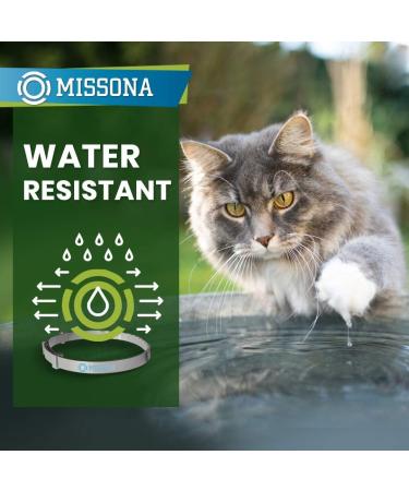 JBL Detoxol 2515700 - Instant Detoxifier for Healthy Aquarium Water | 250 ml | International Shipping Available - Buy Online on GoSupps.com