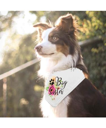 Big Sister Pregnancy Announcement Dog Bandana | Gender Reveal Pet Scarf for Dog Lovers | Photo Prop Accessories - Buy Online on GoSupps.com