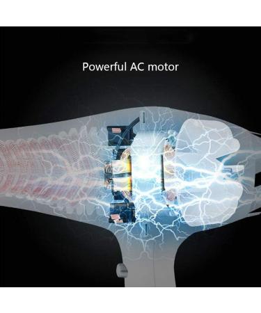 Professional Hair Dryer 2200W AC Motor Negative Ionic Technology Blow Dryer with 3 Heat & 2 Speed Setting and Cool Shot Button Nozzle Included Fast Drying Salon Hairdryer for Men and Women Small Gift - Buy Online on GoSupps.com