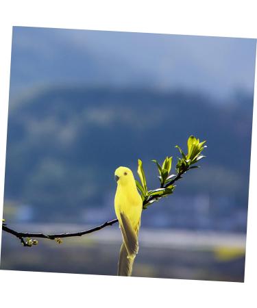 TOYANDONA Parrot Lifelike Vivid Ornament Figure Artificial Birds for Jungle Statue Garden Simulation Yellow 20x5cm Yellow - Buy Online on GoSupps.com