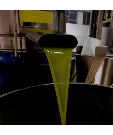  TerraNostra Extra virgin olive oil in a 5L can Cold extracted 100% Italian (intense/fruity) - Buy Online on GoSupps.com