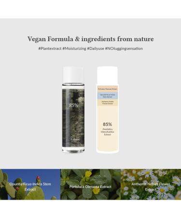 Anastatica skin conditioning toner - Buy Online on GoSupps.com