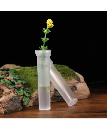 100 Pack Floral Water Tubes | Plastic Vials for Small Roses | Stem Water Tube Holder | Florist Supplies for Flower Arrangements | 10ml - Buy Online on GoSupps.com