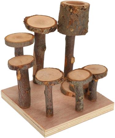 Nikou Hamster Toys Platforms Ladder Exercise Stairs Small Pet Climbing Ladder Step Eco-Friendly Fitness Exercise Feeder Chew Toy Not Easy To Fall For Hamster(S) - Buy Online on GoSupps.com
