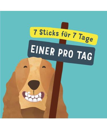 Edgard & Cooper Dental Sticks for Large Dogs - Natural Mint & Strawberry Treats for Fresh Breath | Low Calorie Long Chewing Care - Buy Online on GoSupps.com