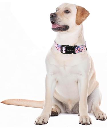 Unique Style Paws Blue Leaves Dog Collar & Care Barrows - Train Fly Chain & Gifts for Small to Large Dogs - Buy Online on GoSupps.com