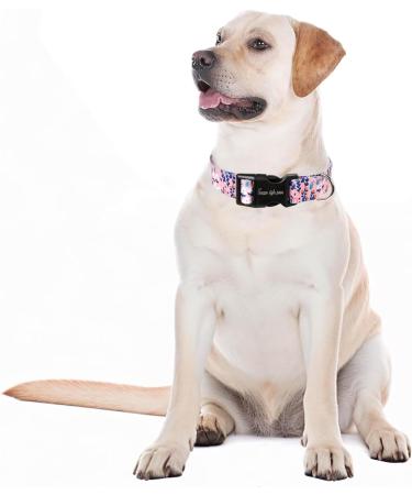 Unique Style Blue Leaves Dog Collar | Halison Care Barrows & Linen | Perfect for Small Medium & Large Dogs | Durable Dog Training & Gift Collection - Buy Online on GoSupps.com