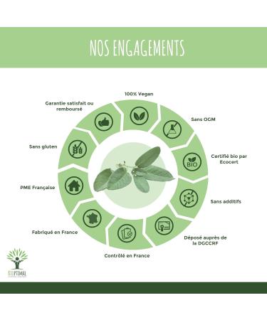 Organic sage - Bioptimal - Dietary supplement - Menopause Hot flashes - Night sweats - Painful rules - Digestion - 250mg/capsule - Made in France - Ecocert certified - 200 capsules - Buy Online on GoSupps.com