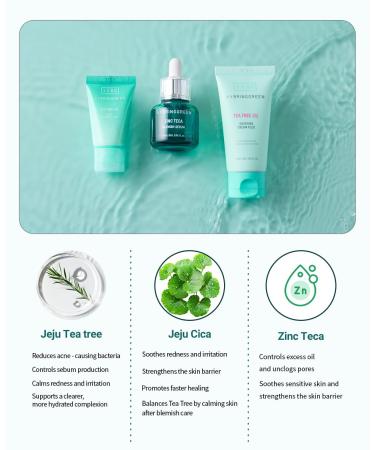 BRING GREEN TEA TREE CICA SET | Korean Skin Care Kit for Acne-Prone, Sensitive Skin | Zinc Teca Serum, Tea Tree Hydrating Moisturizer & Deep Cleansing Foam | Oil Control & Pore Care | K-Beauty Gift SOOTHING TRIO SET - Buy Online on GoSupps.com