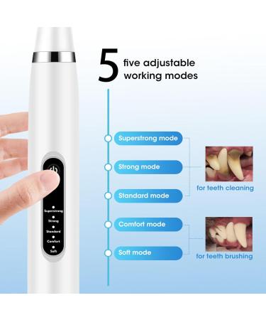 Canilab - Dental Scaler for Dogs Dog Plaque and Tartar Remover Dog Dental Cleaning Kit Equipped with 5 Adjustable Intensities (Black one Size) - Buy Online on GoSupps.com