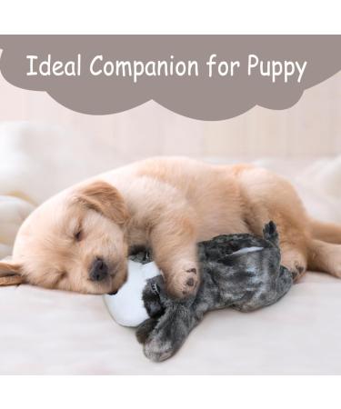 Vocheer Puppy Heartbeat Toy - Calming Aid for Dogs, Cats - Behavioral Training Plush Toy - Grey - Buy Online on GoSupps.com