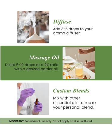 Handcraft Blends Bright Herbal Set: Rosemary and Orange Essential Oils (2 x 4 Fl Oz) 100% Pure & Natural for Diffuser Aromatherapy and DIY Projects - Buy Online on GoSupps.com