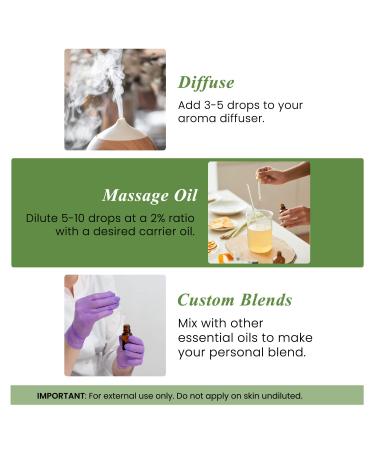 Handcraft Blends Hair Length & Shine Set: Moroccan Argan Oil (8 Fl Oz) and Rosemary Essential Oil (4 Fl Oz) 100% Pure & Natural for Split Ends Scalp Care and Glossy Hair - Buy Online on GoSupps.com