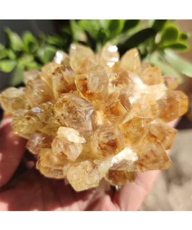 Natural Crystal Rough Natural Raw Citrine Quartz Stone Crystal Cluster Yellow Stones Specimen Home Decoration (Size : 400-500g) - Buy Online on GoSupps.com