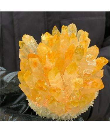 Phantom Quartz Crystal Cluster Specimen (Size : 500-550g) - Buy Online on GoSupps.com