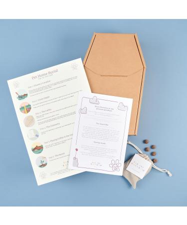The Pet Rainbow | Small Animal Funeral Kit with Pet Coffin & Casket | For Hamsters, Guinea Pigs, Birds, Gerbils, Reptiles, Fish | Cardboard Coffins | Up to 6kg | 275mm x 150mm x 100mm - Buy Online on GoSupps.com
