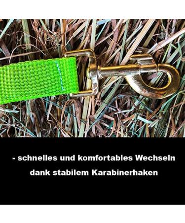 Horse Halter for Warmblood Thoroughbred & Cold Blood | Adjustable Tear-Resistant Safe - Light Green Stable & Pasture Use - Buy Online on GoSupps.com