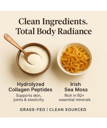 ORGANICS NATURE Collagen Peptides Powder with Irish Sea Moss Vanilla Caramel Flavored | Naturally Sourced Hydrolyzed Collagen w/Biotin for Hair Skin Nail and Joint Support 30 Servings 380 gr - Buy Online on GoSupps.com