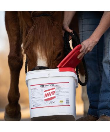 MVP Air-Way EQ (5lb) Supports Healthy Lung Function and Seasonal Allergy Support in Horses - Buy Online on GoSupps.com