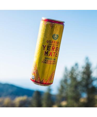 Guayaki Sparkling Yerba Mate Cranberry Pomegranate 12-pack - Buy Online on GoSupps.com