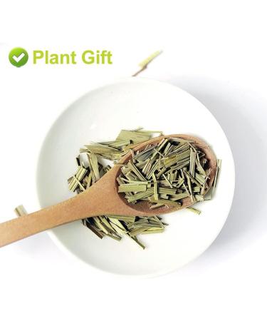 Flower 2 (35g-Lemongrass) - Buy Online on GoSupps.com