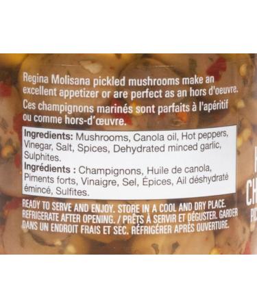 Regina Molisana Hot Pickled Mushrooms in Oil 250 milliliters Hot Mushrooms - Buy Online on GoSupps.com