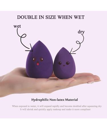 8 Pcs Makeup Sponges Blender Set - Makeup Sponges For Foundation Blender with 1 Holder Beauty Cosmetic Foundation Blending Applicator Puff  Flawless for Liquid Cream Powder (Case:8PCS  Case:Mix) 8 Count (Pack of 1) Case:... - Buy Online on GoSupps.com