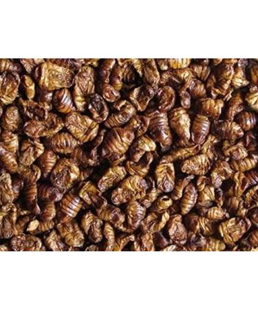 Pondovit Silkworm Pupae - Premium Koi Treat Snack | 5L Pack | International Shipping - Buy Online on GoSupps.com