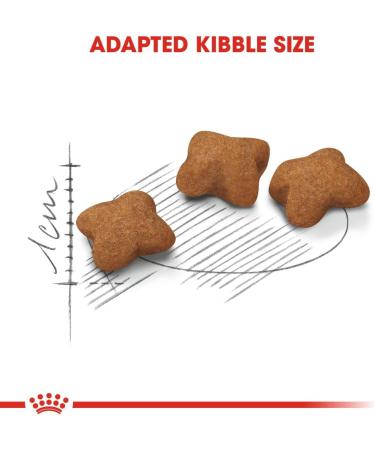 Royal Canin Dry Kitten Food Sterilised 2 Kg 2.5 kg (Pack of 1) - Buy Online on GoSupps.com