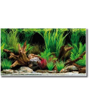 AMTRA WONDER - Aquarium poster background aquarium decoration decorative poster with double print format 30x60cm - Buy Online on GoSupps.com