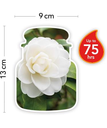 Yankee Candle Camellia Blossom - Medium Glass Fragrance Candle | 75 Hour Burn Time | Garden Hideaway Collection - Buy Online on GoSupps.com