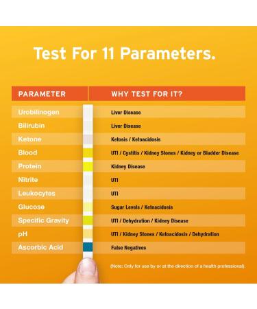 Aidteq Urine Test Strips 11 Parameter Urine Test Strips for Urobilinogen Bilirubin Ketone Blood Protein Specific Gravity pH & Ascorbic Acid 100 pieces - Buy Online on GoSupps.com
