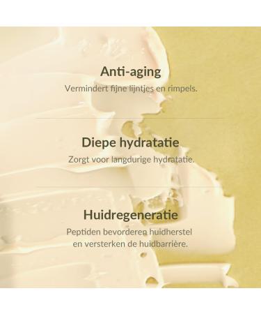 PFD CO LTD Mizon Peptide Ampoule Cream 50 ml Hydraterende peptidencr me - Buy Online on GoSupps.com