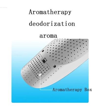 Boot Dryer Shoe Dryer Portable Shoes Dryer Ultraviolet Rays Shoes Sterilization Dryer Foot Protector Deodorant Dehumidify Device Shoes Drying Machine Glove Dryer Foot Dryer ( Color : Blue without Time Blue Without Timer - Buy Online on GoSupps.com