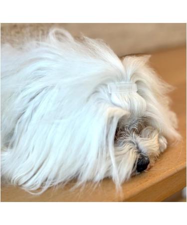 Camtiac Dog Hair Clip Set - 6 Diamond Red Clips for Pet Grooming | International Shipping Available - Buy Online on GoSupps.com