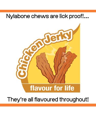Nylabone Extreme Tough Dog Chew Toy - Shish Kebab Chicken Jerky Flavour - Small (Up to 11 Kg) - Buy Online on GoSupps.com