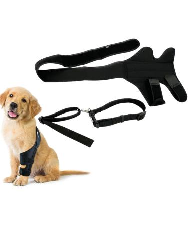 IEUDNS Dog Leg Brace Dog Elbow Protector Pad Adjustable Pet Knee Pads for Doggy Supplies M 18.5 to 29.4cm - Buy Online on GoSupps.com