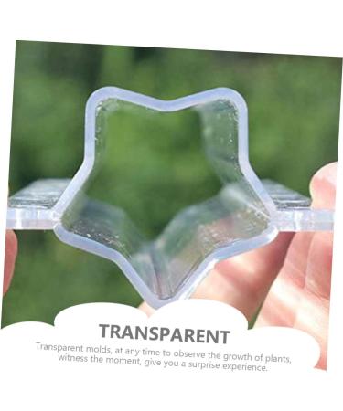 YARNOW 6 Pcs Shaped Growth Mold Vegetable Growing Molds Cucumber Growth Mold Fruit Growing Molds Heart Shaped Cucumber Mold Cucumber Forming Tools for Heart-Shaped Plastic Child Plant - Buy Online on GoSupps.com
