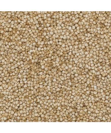 Wholefood Earth Quinoa Grain 1 kg | GMO Free | Natural | High Fibre | Source of Protein 1kg - Buy Online on GoSupps.com