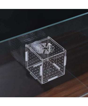 POPETPOP Fish Breeding Box - Isolation Hatchery for Small Baby Fish & Shrimp - Suction Cup Size 1 - Buy Online on GoSupps.com