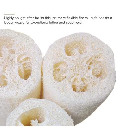 SmarTopus 5-Pack Premium Natural Loofah Sponges - Exfoliating Body Scrubber for Bath, Spa, Shower - Kitchen, Bathroom Dishes - Eco-Friendly - Buy Online on GoSupps.com