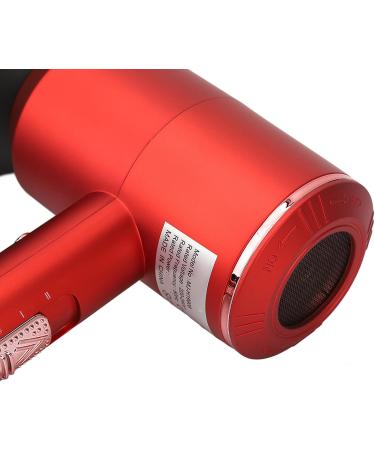 Hair Blow Dryer Overheat Negative Ion Portable Hair Blow Dryer Professional 2000W for Salon (US Plug 110V) - Buy Online on GoSupps.com