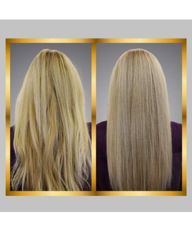 Hair Biology Haarmask Silver & Glowing | Revitalize & Shine | International Shipping - Buy Online on GoSupps.com