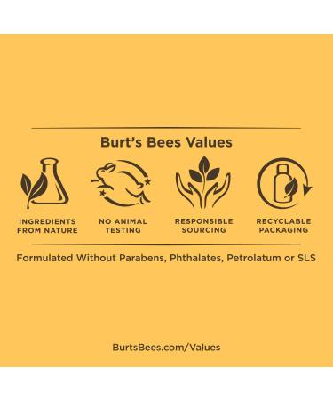 Burt's Bees 100% Natural Evening Glow Lip Gloss - Moisturizing and Nourishing | 1 Tube - Buy Online on GoSupps.com