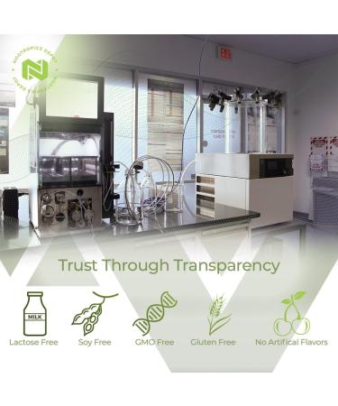 Nootropics Depot Lemon Balm Extract Tablets | 500mg | 120 Count | 10:1 Water Ethanol Extract - Buy Online on GoSupps.com