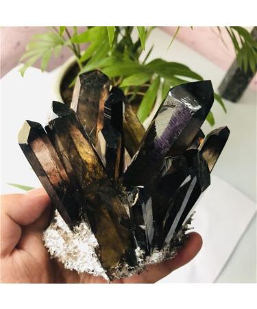 400-500g Hot Quartz Cluster Natural Cairngorm s Flowers Smoky Quartz ClusterCan be Used for HOMEZHOU - Buy Online on GoSupps.com